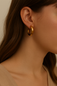 Chunky Hoops earings